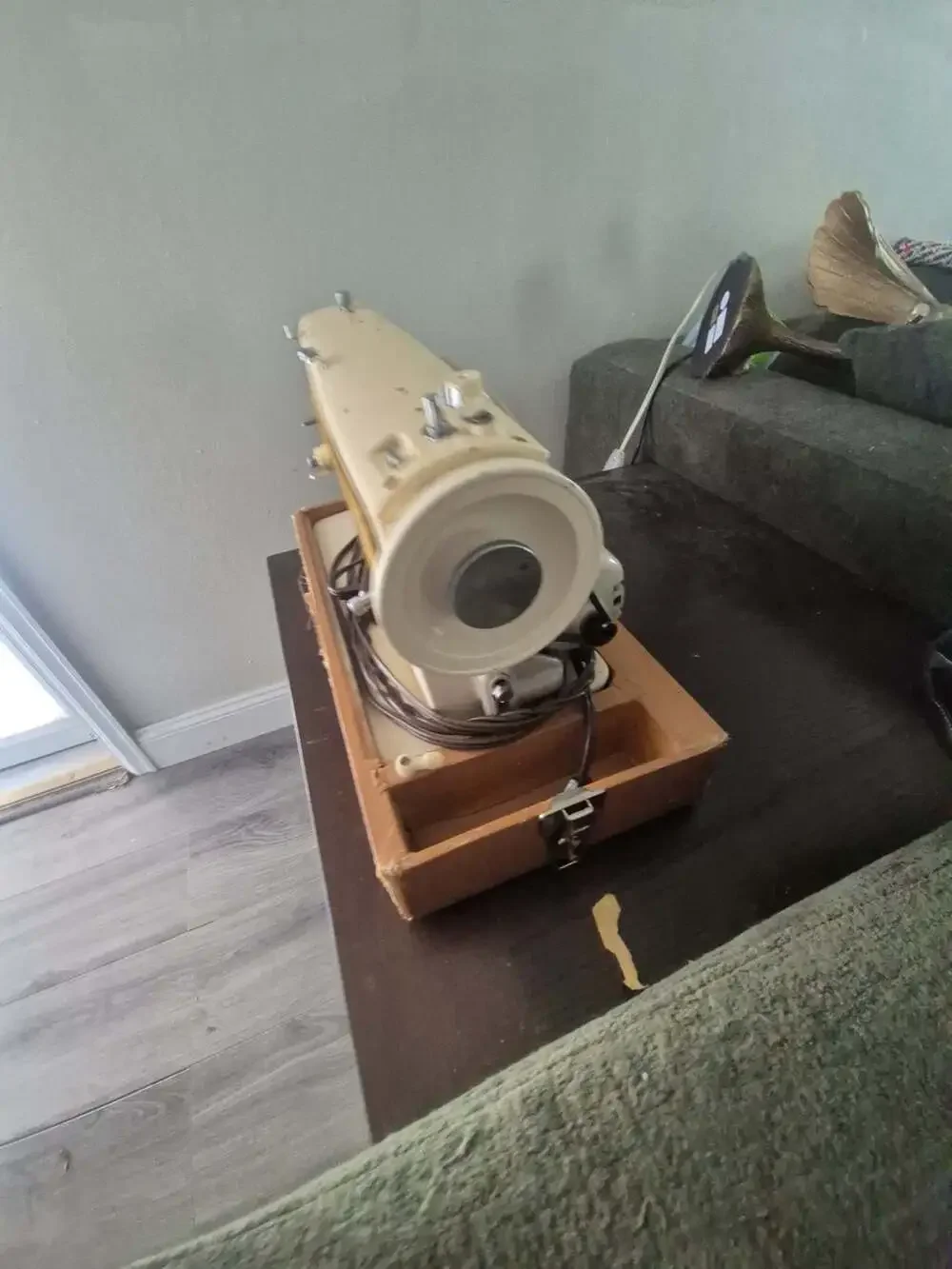 Singer functioning model